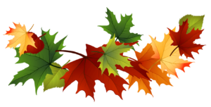 fall-leaves-fall-clip-art-autumn-clip-art-leaves-clip-art-clipart-31